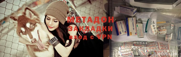 индика Алзамай