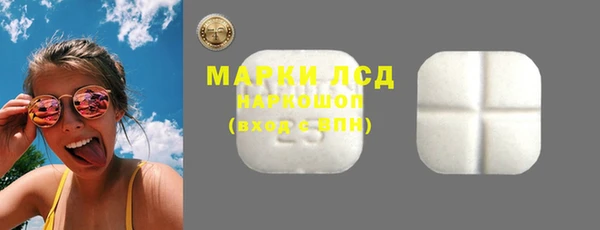 индика Алзамай