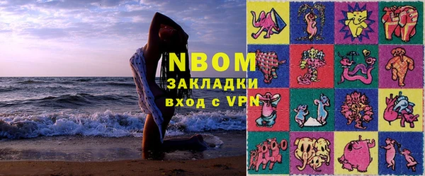 индика Алзамай