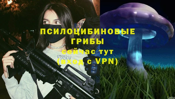 таблы Алексеевка