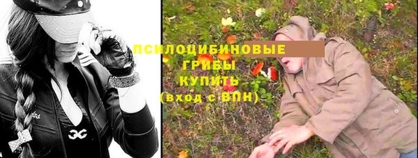 таблы Алексеевка