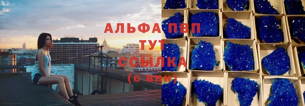индика Абаза