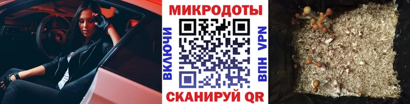 Псилоцибиновые грибы Magic Shrooms Черкесск