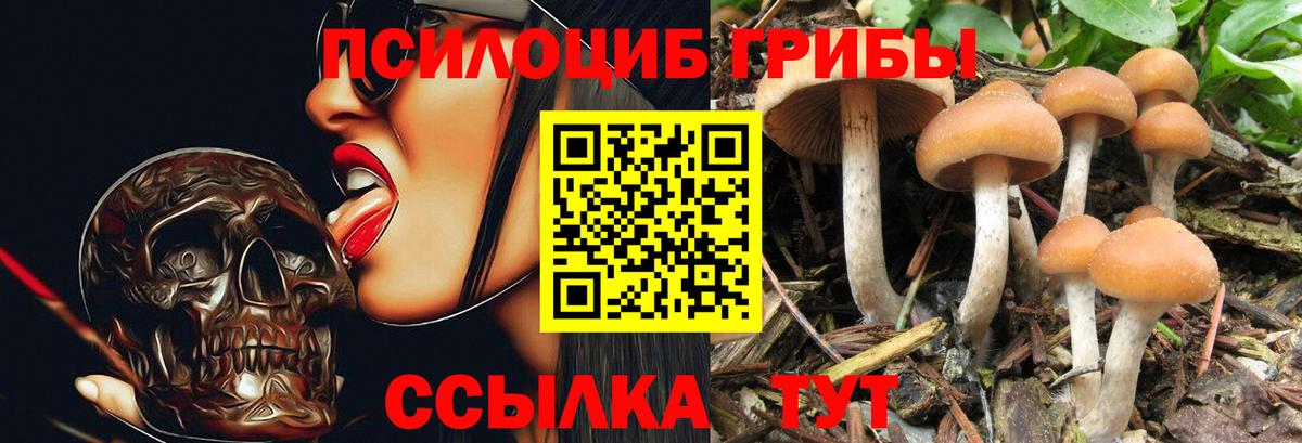 Галлюциногенные грибы Psilocybine cubensis  Вход с VPN  Черкесск  Галлюциногенные грибы Magic Shrooms 